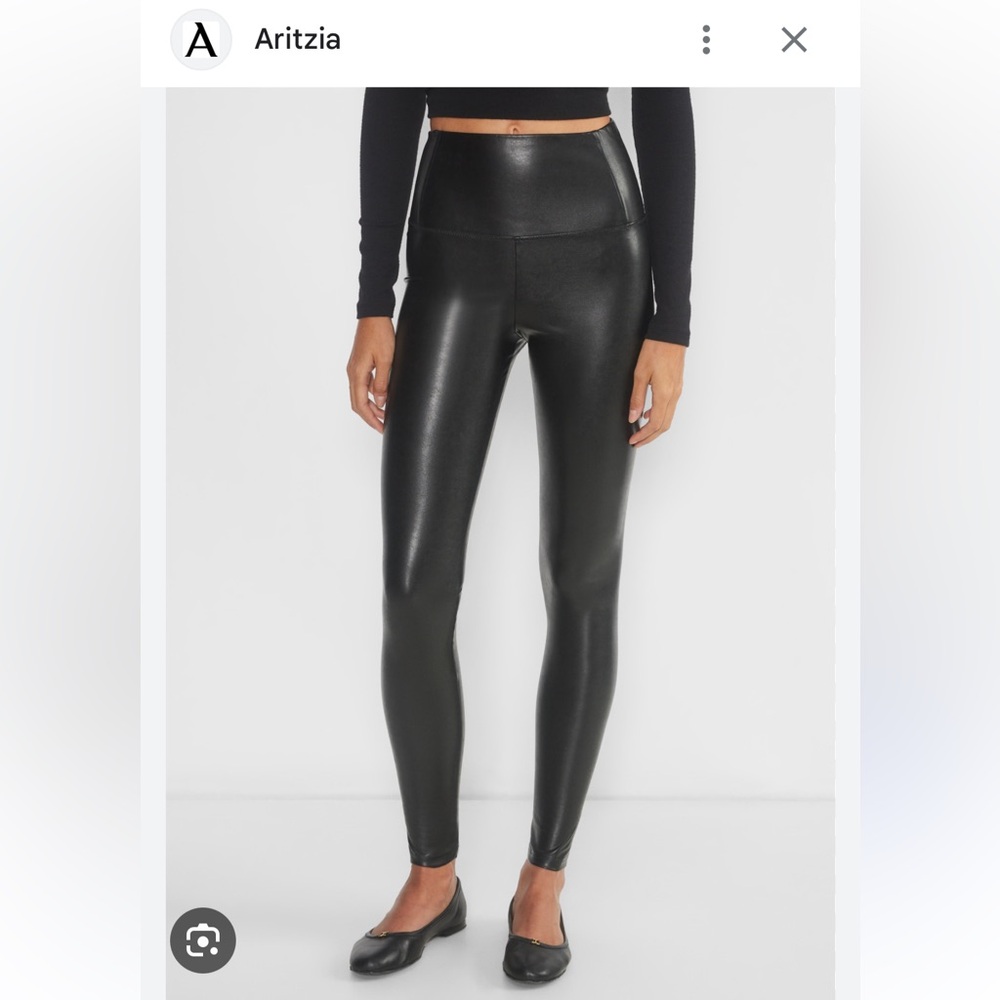 Aritzia Wilfred Free Daria pants